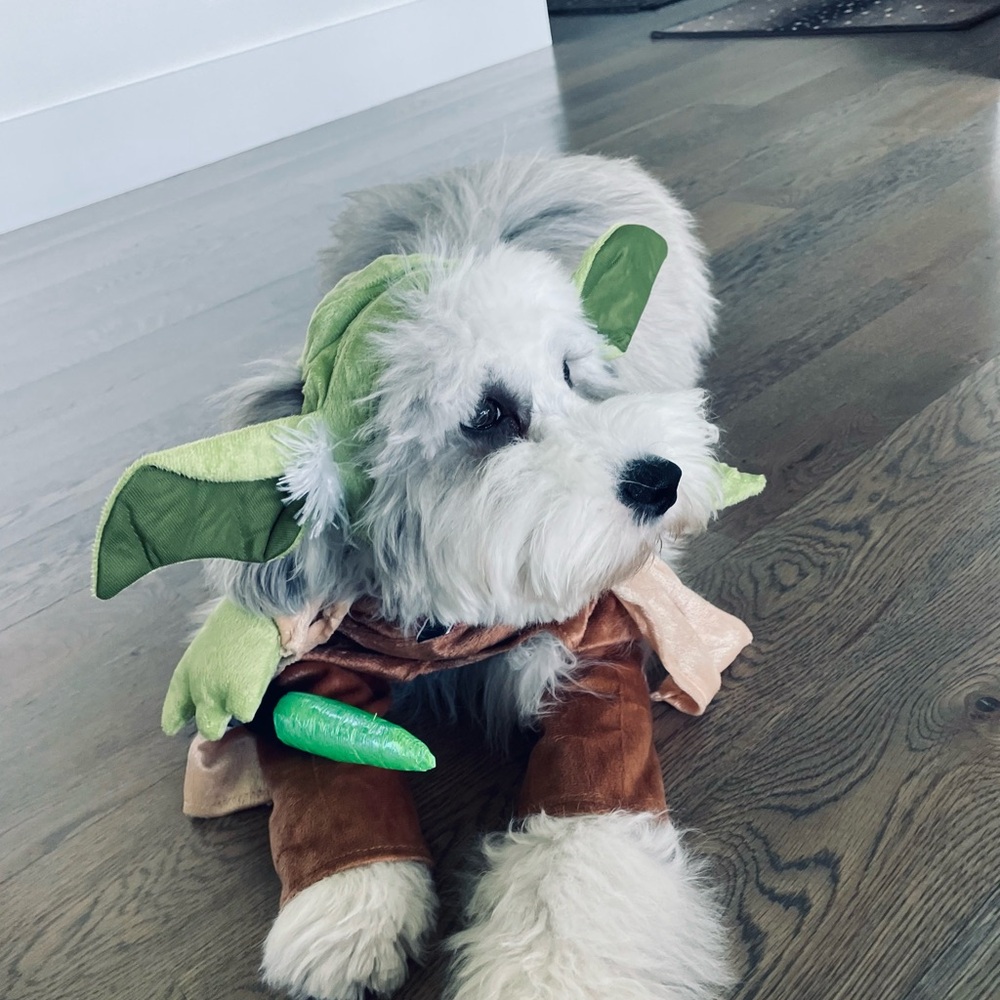 Star Wars Yoda Dog Costume - Green and Brown - Picture 3 of 3